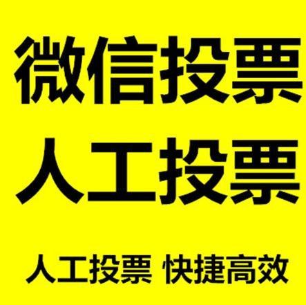 淮北市投票活动拉票能被查出来吗？如何操作能不被发现？